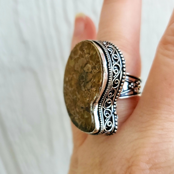 WOW New Ammonite Fossil 925 Silver Statement Ring. - Picture 2 of 8